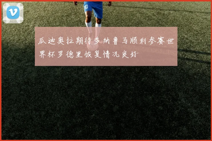 瓜迪奥拉期待多纳鲁马顺利参赛世界杯罗德里恢复情况良好