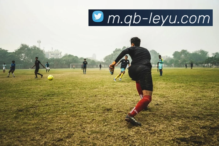 乐鱼体育平台生态图