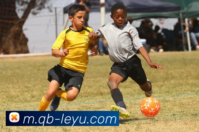 乐鱼体育APP 封面图