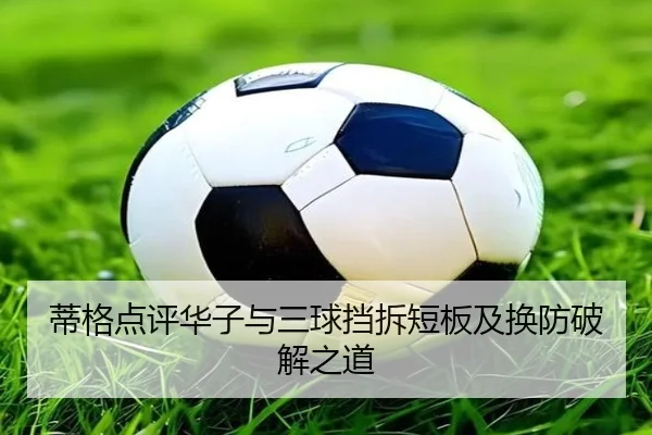 蒂格点评华子与三球挡拆短板及换防破解之道（leyu）